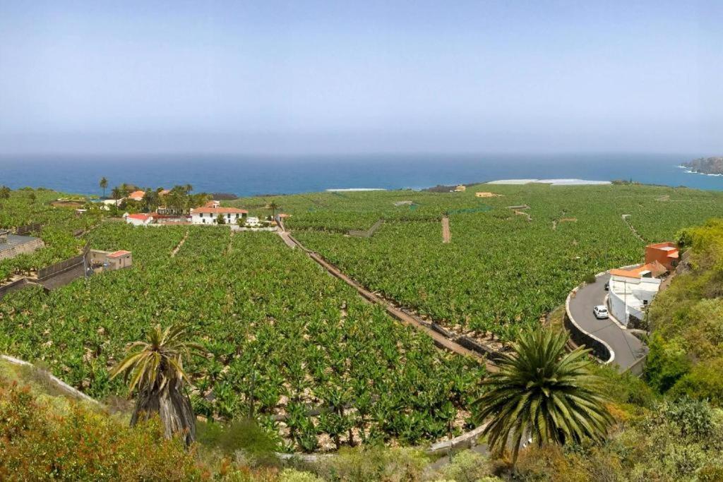 Casa Canaria Acero Гарачико Экстерьер фото